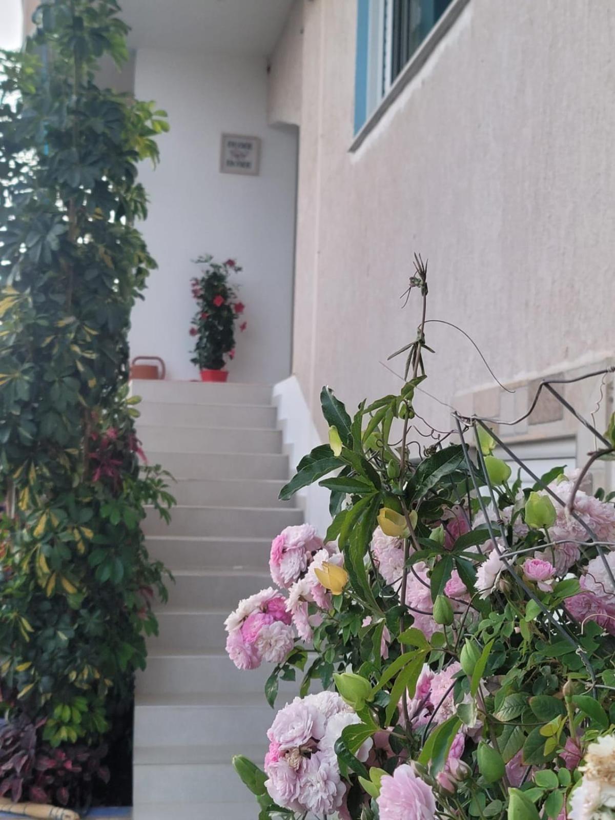 Selami Sea View Apartments Lukovë Esterno foto